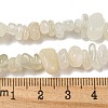 Natural White Moonstone Beads Strands G-P332-01-6