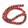 Natural Striped Agate/Banded Agate Beads Strands G-I261-C03-8mm-2