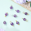16Pcs 4 Colors Natural Amethyst Pendant and  Connector Charms Sets PALLOY-SW00081-3