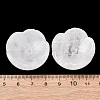 Natural Quartz Crystal/Rock Crystal Incense Holders G-G301-01G-4