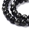 Natural Silver Obsidian Beads Strands X-G-D083-01B-3