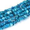 Natural Freshwater Shell Beads Strands SHEL-N037-04I-1