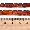 Natural Amber Beads Strands G-K426-A02-03-5