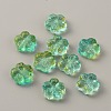 Transparent Glass Beads GLAA-CJC0001-17G-2