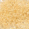 6/0 Transparent Glass Seed Beads SEED-F003-03A-14-3