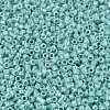 MIYUKI Delica Beads SEED-X0054-DB1576-3