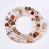 Natural Flower Agate Beads Strands X-G-S359-237-2