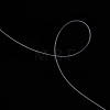 Nylon Wire LS-NWIR-R0.3MM-4