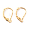 Ion Plating(IP) 304 Stainless Steel Leverback Earring Findings STAS-K233-04G-01-1