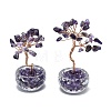 Natural Amethyst Chip Pachira Glabra Display Decorations DJEW-K025-04A-1