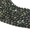 Natural Seraphinite Beads Strands G-K376-A02-5mm-4