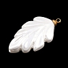 304 Stainless Steel Resin Pendants STAS-K322-11A-G-3