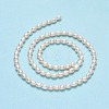 Natural Cultured Freshwater Pearl Beads Strands PEAR-J006-07C-2