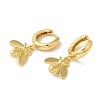 Rack Plating Brass Hoop Earrings EJEW-B062-39G-2