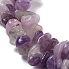 Natural Lepidolite/Purple Mica Stone Beads Strands G-P497-03A-06-2