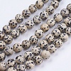 Natural Dalmatian Jasper Stone Bead Strands G-R193-14-10mm-1