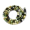 Natural Serpentine Beads Strands G-Q616-07A-3