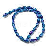 Spray Painted Synthetic Turquoise Beads Strands G-E617-B07-03A-3
