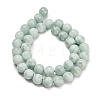 Glass Beads Strands G-L642-B18-10mm-3