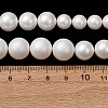 Electroplated Shell Pearl Graduated Beads Strands SH-CBA8E5B-02-2