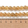 Natural Yellow Garnet Beads Strands G-Z129-C01-8mm-02-5