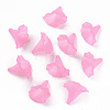 Transparent Acrylic Beads BSF796-C10-4