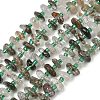 Natural Green Lodolite Quartz/Garden Quartz/Green Phantom Quartz Beads Strands GG-CBA3A44-B10-01-2