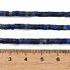 Natural Lapis Lazuli Beads Strands GG-CBA767B-A04-5