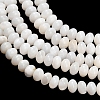 Natural Freshwater Shell Beads Strands SHEL-C010-04A-02-2