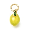 Brass Enamel Pendants KK-G605-13G-01-1
