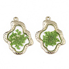 Epoxy Resin Pendants LS-X-RESI-T045-028B-2