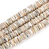 Luminous Natural Seashell Shell Beads Strands SSHEL-T017-34-1