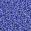 12/0 Opaque Glass Seed Beads SEED-T006-01D-D03-3