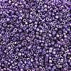 MIYUKI Delica Beads X-SEED-J020-DB2509-2