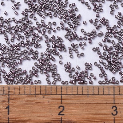 MIYUKI Delica Beads SEED-JP0008-DB0462-1