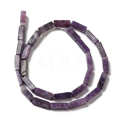 Natural Lepidolite/Purple Mica Stone Beads Strands G-E612-C05-A-1