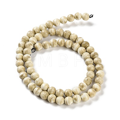 Natural Rainbow Alashan Agate Beads Strands G-NH0022-A04-01-1