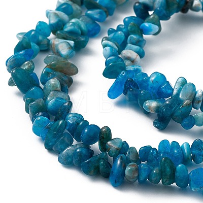 Natural Apatite Beads Strands G-F666-01B-03-1
