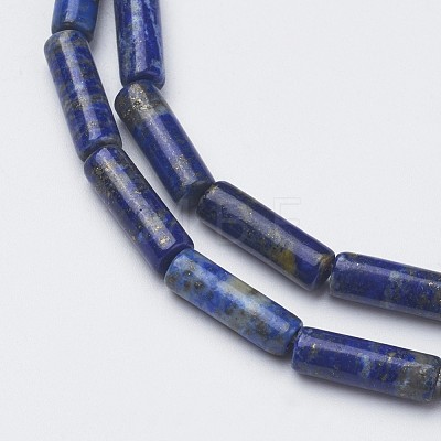 Natural Lapis Lazuli Beads Strands G-G968-F04-1