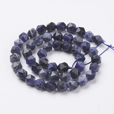 Natural Sodalite Beads Strands G-J376-65A-8mm-1