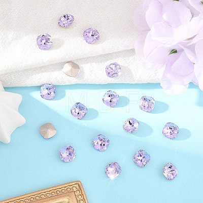 Preciosa® MAXIMA Crystal Fancy Stones X-PRC-FC10-20310-1