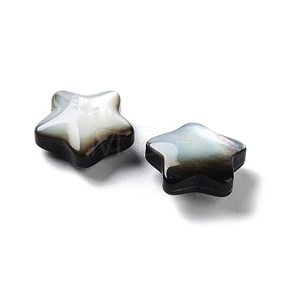 Natural Black Lip Shell Beads SHEL-M020-02B-1