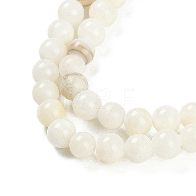 Natural Freshwater Shell Beads Strands BSHE-H109-03C-1