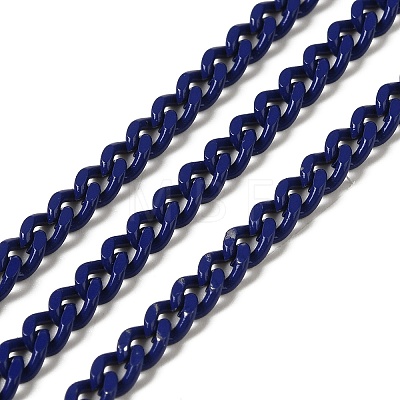 Spray Painted 304 Stainless Steel Curb Chains STAS-B067-05B-04-1