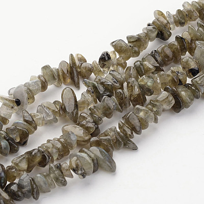 Natural Labradorite Chips Beads Strands LS-F069-1