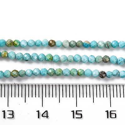 Natural Howlite Beads Strands G-C025-02A-06-1