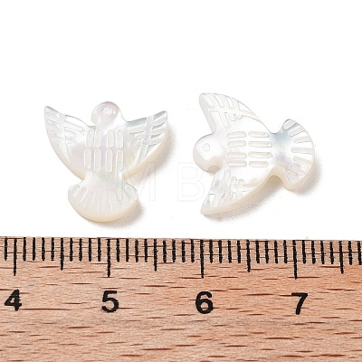 Natural Shell Beads BSHE-H017-02-1