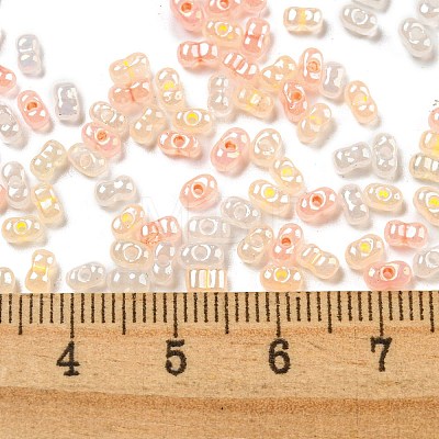 Ceylon Glass Seed Beads SEED-K009-02B-41-1