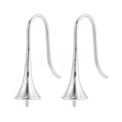304 Stainless Steel Earring Hooks STAS-N108-30P-1