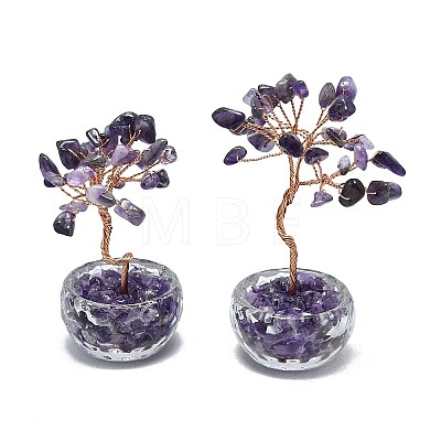 Natural Amethyst Chip Pachira Glabra Display Decorations DJEW-K025-04A-1